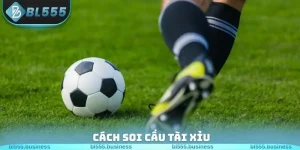 Ảnh đại diện cách soi cầu tài xỉu