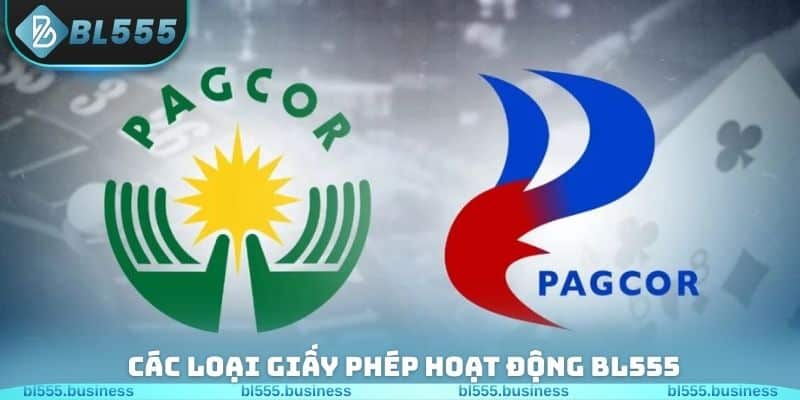 Các loại giấy phép hoạt động BL555