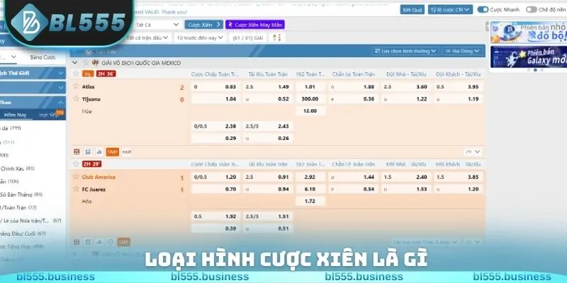 Loại hình cược xiên là gì