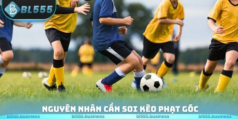 Nguyên nhân cần soi kèo phạt góc